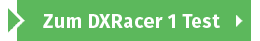 Unser DXRacer 1 Test